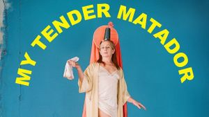 My Tender Matador's poster