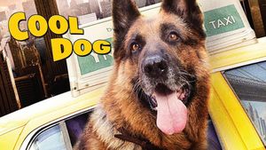 Cool Dog's poster