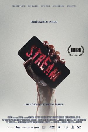 Stream's poster