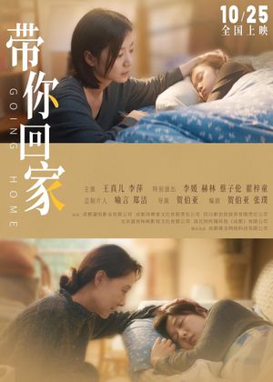 带你回家's poster