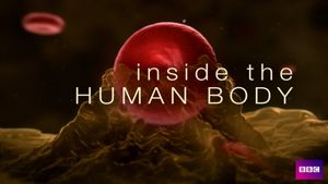 Inside the Human Body's poster