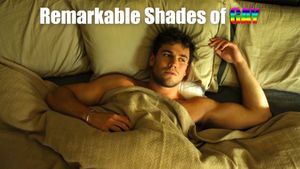 Remarkable Shades of Gay's poster