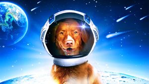 My Dog the Space Traveler's poster