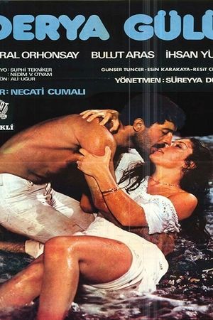 Derya Gülü's poster