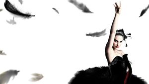 Black Swan's poster
