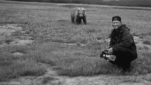 Grizzly Man's poster