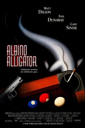 Albino Alligator's poster