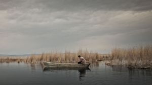 The Reeds's poster