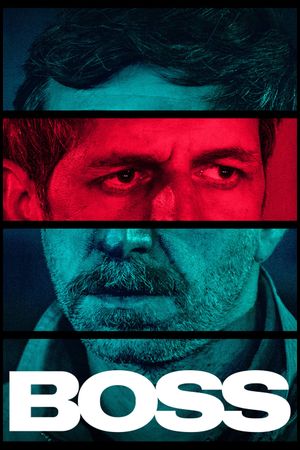 Boss's poster