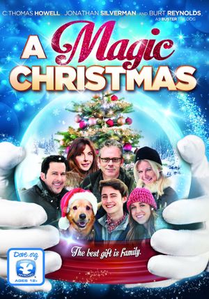 A Magic Christmas's poster