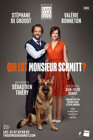 Qui est Monsieur Schmitt ?'s poster