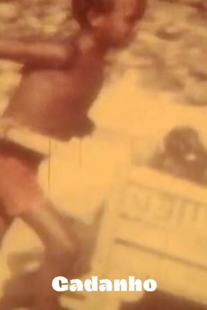Gadanho's poster