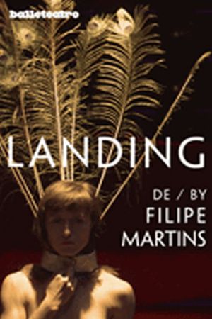 Landing's poster image