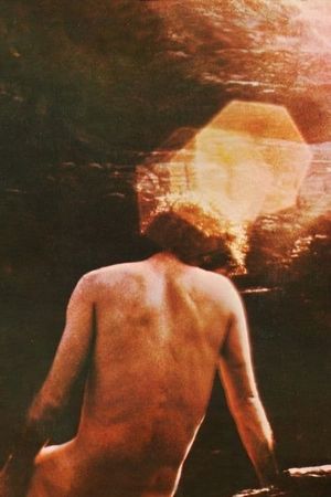Trindade: Curto Caminho Longo's poster