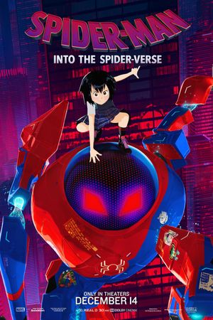 Spider-Man: Into the Spider-Verse's poster