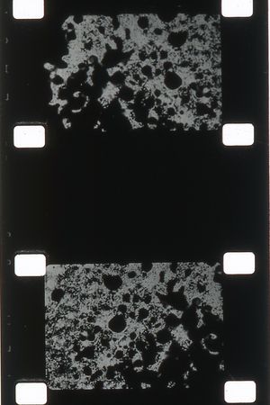 One's poster