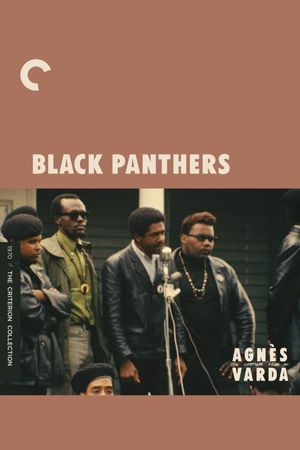 Black Panthers's poster