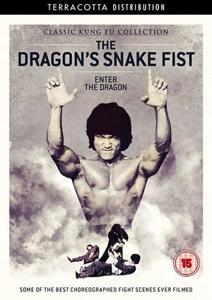The Dragon's Snake Fist's poster image