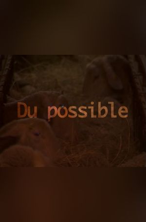 Du possible's poster