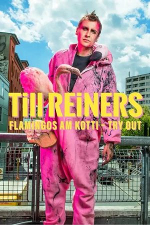 Till Reiners - Flamingos am Kotti's poster