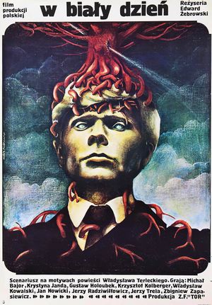 W bialy dzien's poster