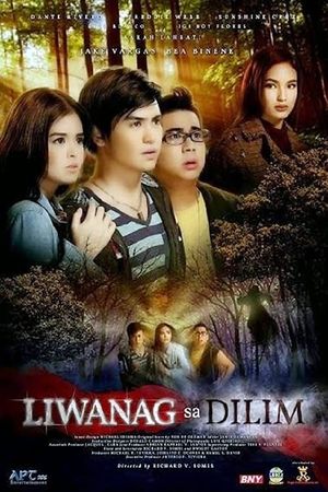 Liwanag sa dilim's poster