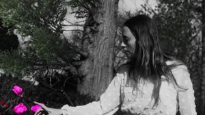 Nyctophobia's poster
