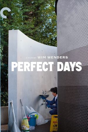Perfect Days's poster