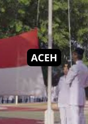 ACEH's poster image