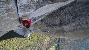 Free Solo's poster