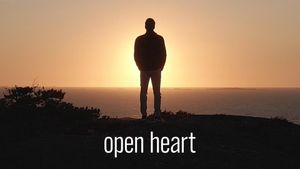 Open Heart's poster