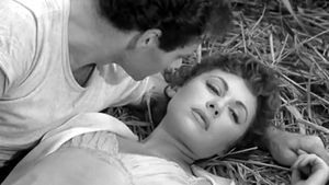 Lady Chatterley's Lover's poster