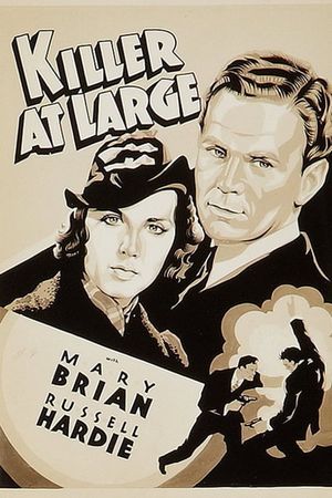 Killer at Large's poster