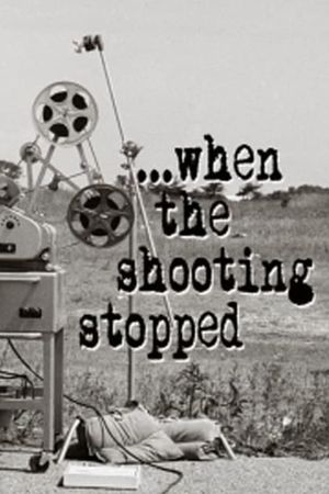 The Godfather: When the Shooting Stopped's poster