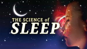 The Science of Sleep's poster