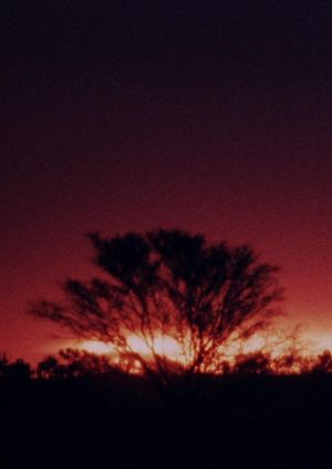 The Second Journey (To Uluru)'s poster