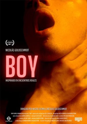 Boy's poster image