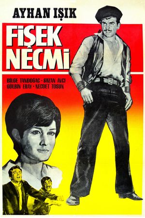 Fisek Necmi's poster