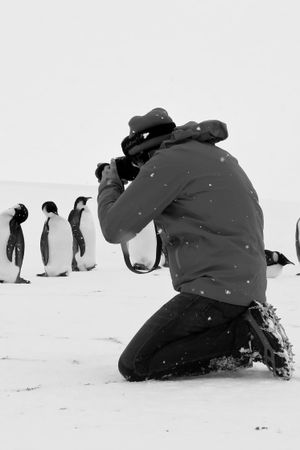 Antarctica Calling's poster