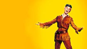 Calamity Jane's poster