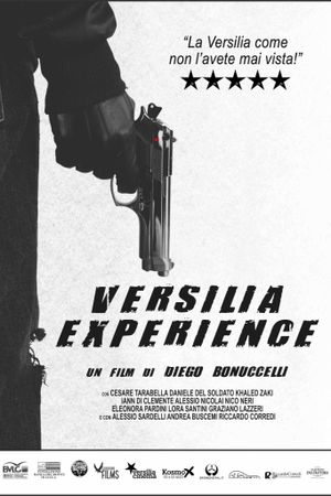 Versilia Experience's poster image