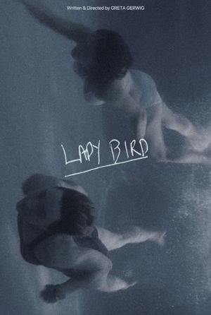 Lady Bird's poster