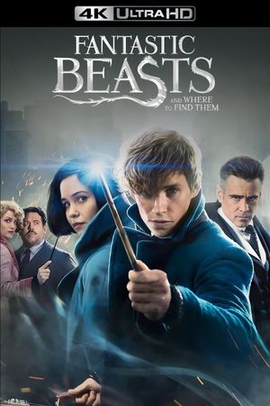 Fantastic Beasts and Where to Find Them's poster