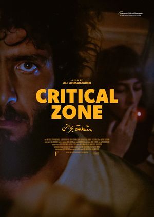 Critical Zone's poster