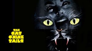 The Cat o' Nine Tails's poster