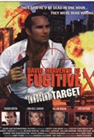 Fugitive X: Innocent Target's poster