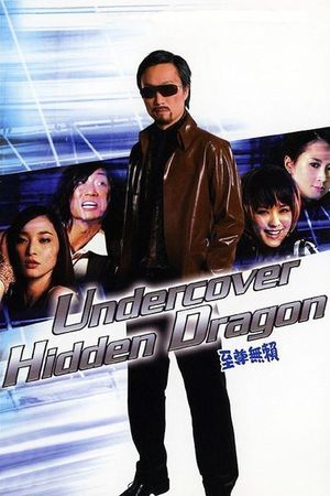 Undercover Hidden Dragon's poster