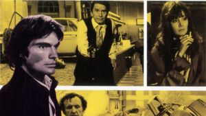 The Violent Professionals's poster
