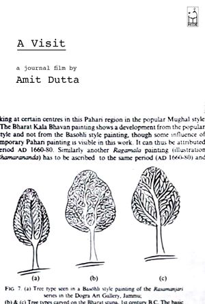 A Visit's poster