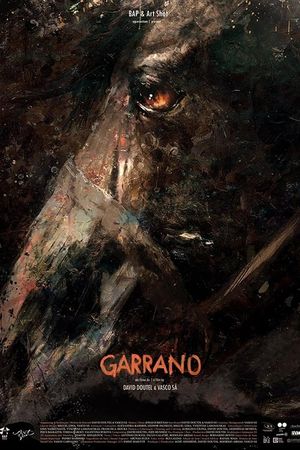 Garrano's poster